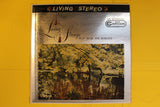 Living Strings Play Music For Romance