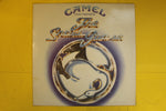 The Snow Goose