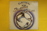 The Snow Goose