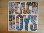 The Beach Boys