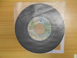 Blowin' In The Wind / Puff (The Magic Dragon)