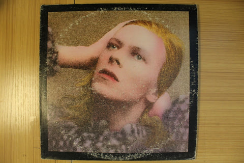 Hunky Dory